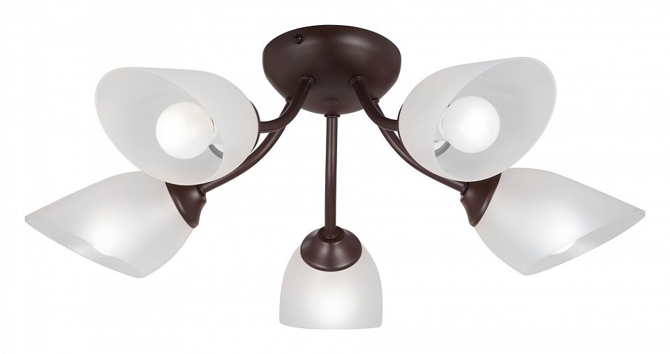 Фото Потолочная люстра Vitaluce V3184 V3404/5PL VI_V3404_5PL - интернет-магазин МегаТерем в Москве