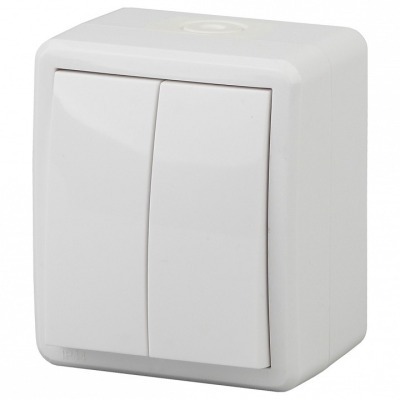 Выключатель двухклавишный Э...