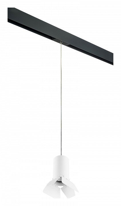 Фото Подвесной светильник Lightstar Rullo PRORP436436 LS_PRORP436436 - интернет-магазин МегаТерем в Москве