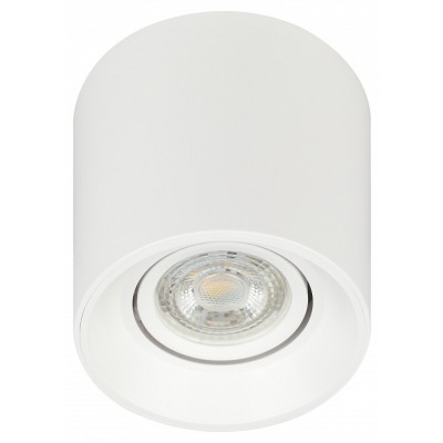 Накладной светильник Эра OL...