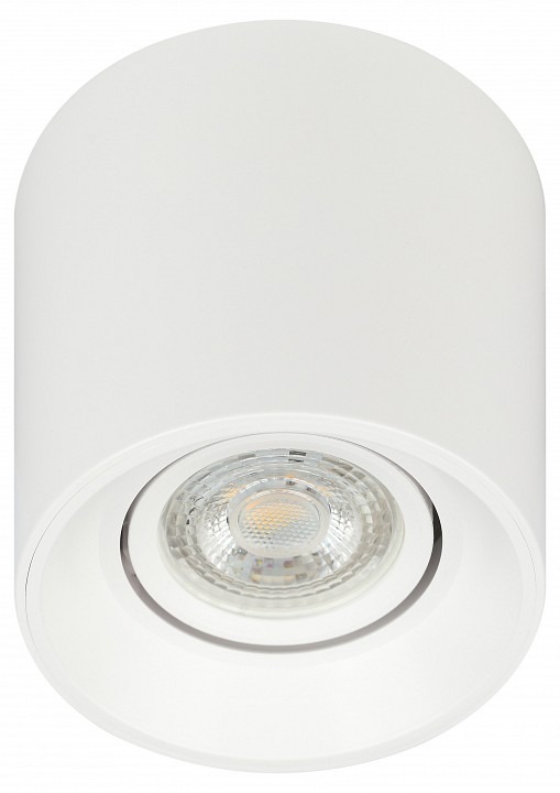 Фото Накладной светильник Эра OL25-1 WH Б0054383 ER_B0054383 - интернет-магазин МегаТерем в Москве