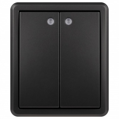 Выключатель двухклавишный с...