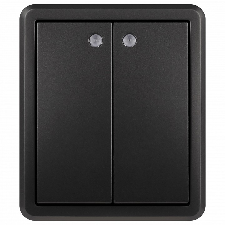 Фото Выключатель двухклавишный с подсветкой Эра Эра Эксперт 11-1205-05 ER_B0063021 - интернет-магазин МегаТерем в Москве