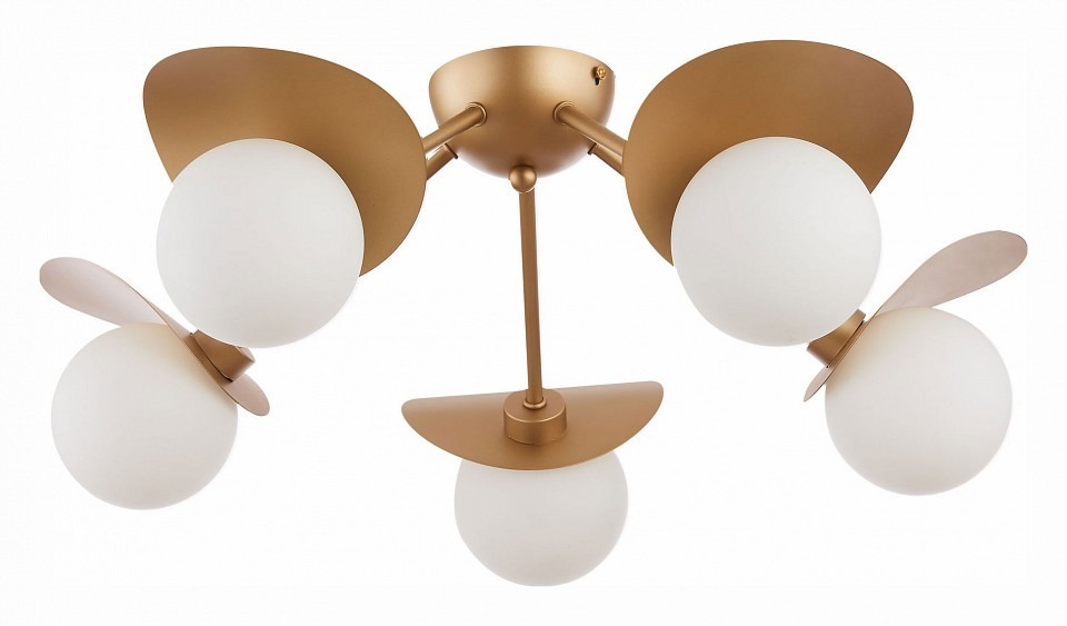 Фото Потолочная люстра EVOLUCE Bolzano SLE220502-05 EVO_SLE220502-05 - интернет-магазин МегаТерем в Москве