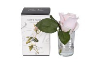 Диффузор Rose Bud French Pink,спрей Winter in Chatou 5мл уп (TT-00014729)