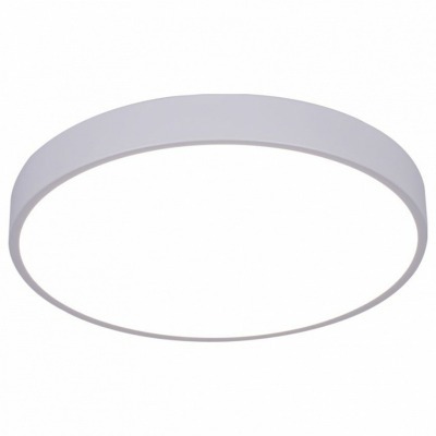 Накладной светильник Arte Lamp Arena A2661PL-1WH AR_A2661PL-1WH