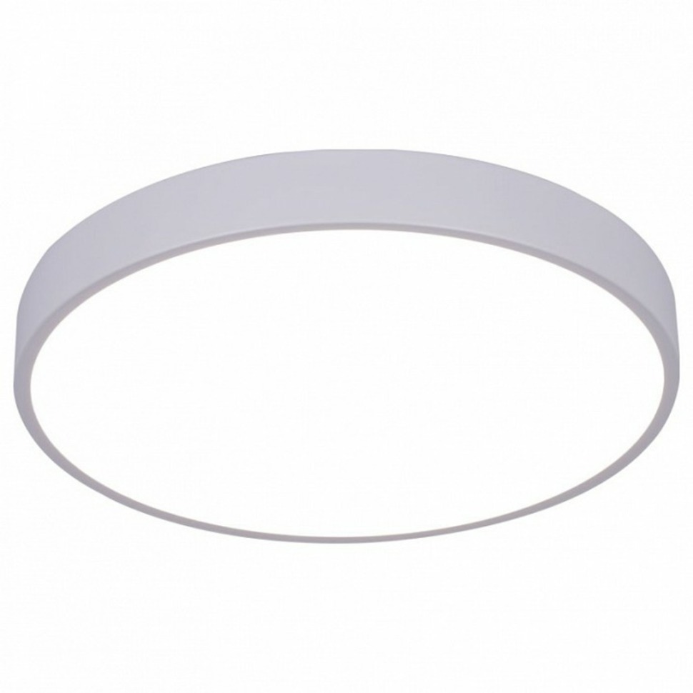 Фото Накладной светильник Arte Lamp Arena A2661PL-1WH AR_A2661PL-1WH - интернет-магазин МегаТерем в Москве