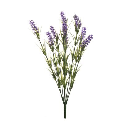 Веточка лаванды с 9 цветкам...