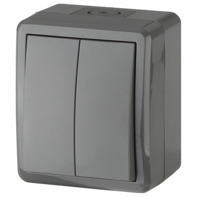 Выключатель двухклавишный Э...