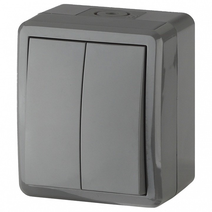 Фото Выключатель двухклавишный Эра Эра Эксперт 11-1404-03 ER_B0020676 - интернет-магазин МегаТерем в Москве