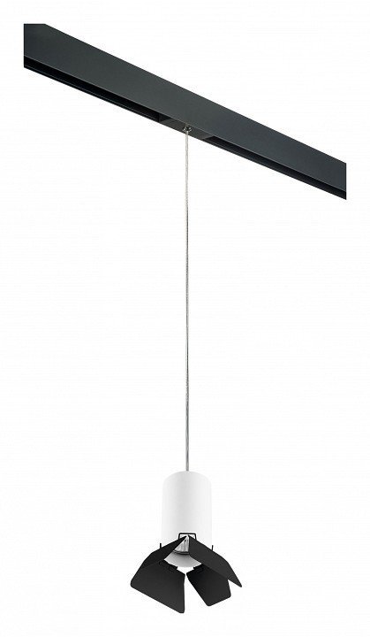 Фото Подвесной светильник Lightstar Rullo PRORP436437 LS_PRORP436437 - интернет-магазин МегаТерем в Москве