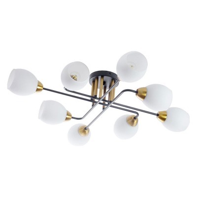 Потолочная люстра Arte Lamp...