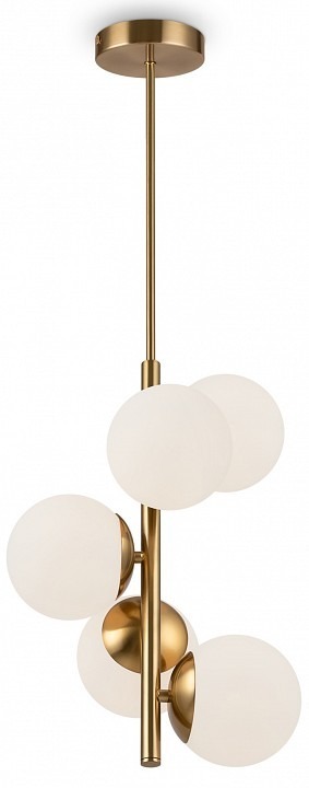 Фото Люстра на штанге Freya Zing FR5199PL-05BS1 MY_FR5199PL-05BS1 - интернет-магазин МегаТерем в Москве