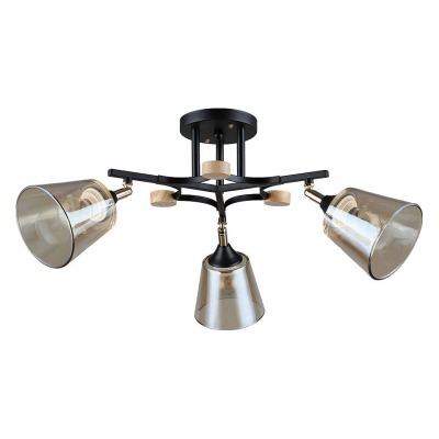 Люстра на штанге Arte Lamp ...