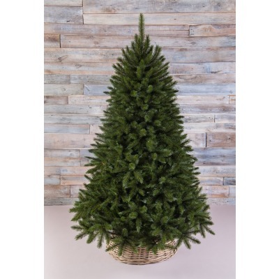 Триумф ель лесная красавица...