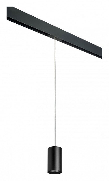 Фото Подвесной светильник Lightstar Rullo PRORP437 LS_PRORP437 - интернет-магазин МегаТерем в Москве