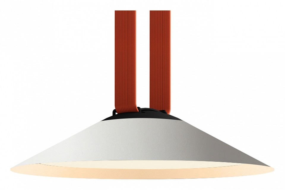 Фото Накладной светильник Denkirs BELTY FLOW DK5564-WH+BK DK_DK5564-WH_BK - интернет-магазин МегаТерем в Москве