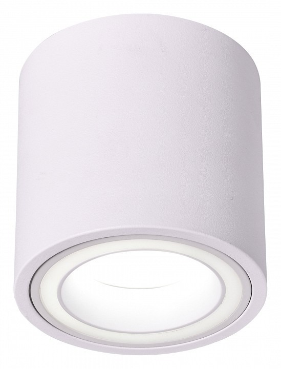 Фото Накладной светильник Эра OL47 WH Б0059795 ER_B0059795 - интернет-магазин МегаТерем в Москве