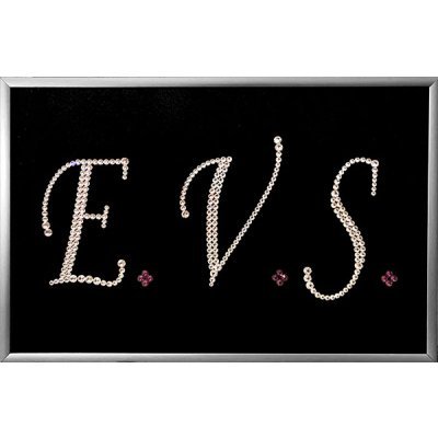 Картина Логотип E.V.S. с кр...