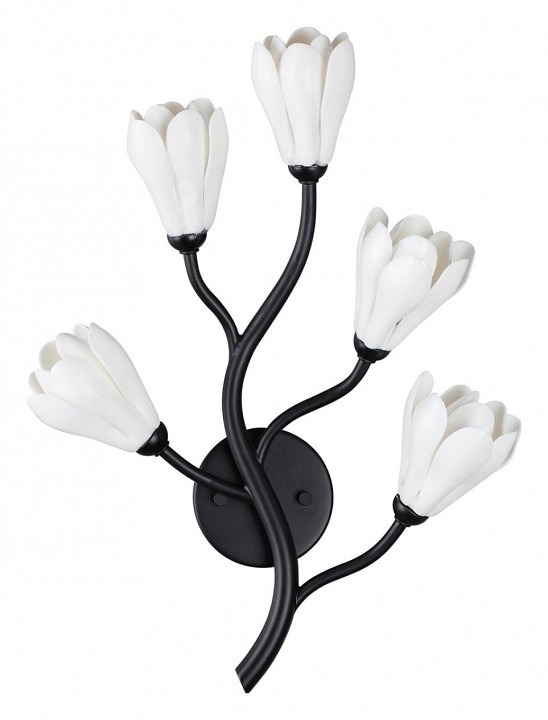 Фото Бра Odeon Light Gardi 5090/5W OD_5090_5W - интернет-магазин МегаТерем в Москве