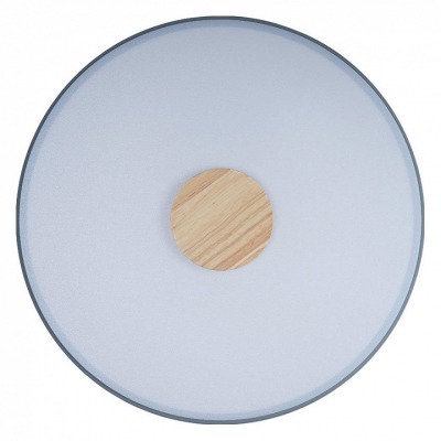 Накладной светильник Loft it Axel 2 10003/24 Grey LF_10003_24_Grey