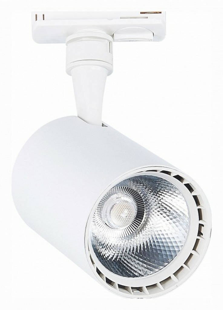 Фото Светильник на штанге ST-Luce Cami ST351.536.20.36 - интернет-магазин МегаТерем в Москве