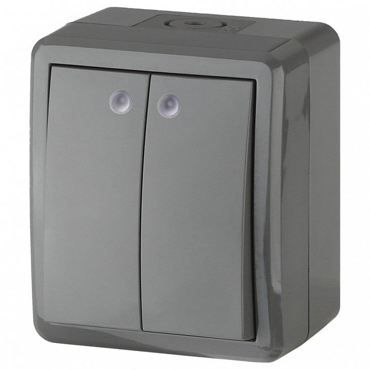 Фото Выключатель двухклавишный с подсветкой Эра Эра Эксперт 11-1405-03 ER_B0020678 - интернет-магазин МегаТерем в Москве