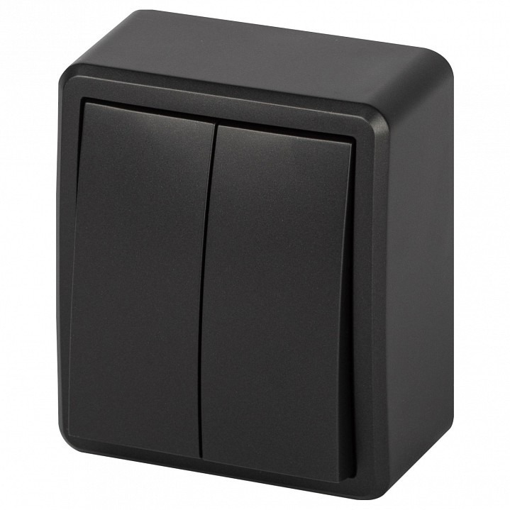 Фото Выключатель двухклавишный Эра Эра Эксперт 11-1204-05 ER_B0063026 - интернет-магазин МегаТерем в Москве