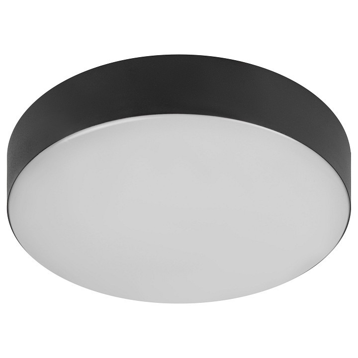 Фото Накладной светильник Эра Relict Relict 22 SPB-6-20 4К BK ER_B0059508 - интернет-магазин МегаТерем в Москве