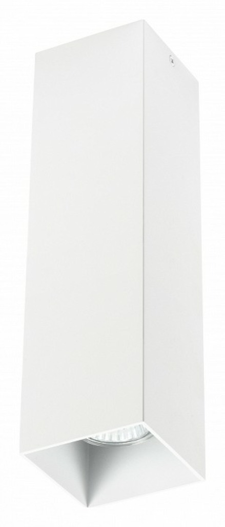 Фото Накладной светильник Lightstar Rullo 216596 LS_216596 - интернет-магазин МегаТерем в Москве