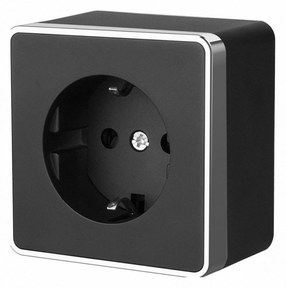 Фото Розетка с заземлением Werkel Gallant (черный/хром) W5071035 WRK_a050973 - интернет-магазин МегаТерем в Москве