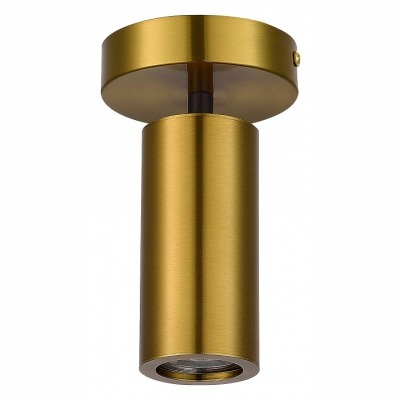 Светильник на штанге ST-Luc...