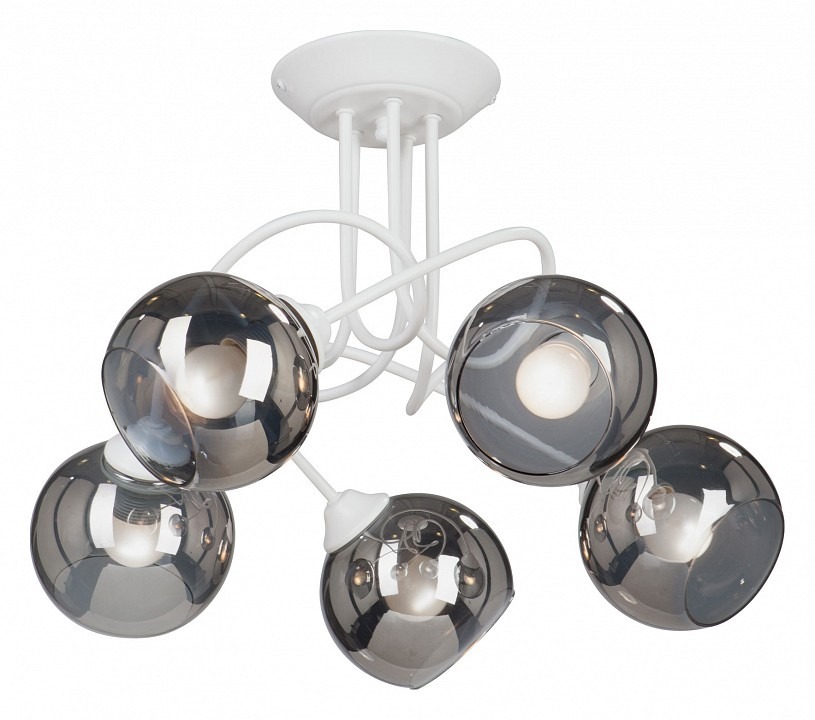 Фото Люстра на штанге Vitaluce 4309 V4309-0/5PL VI_V4309-0_5PL - интернет-магазин МегаТерем в Москве