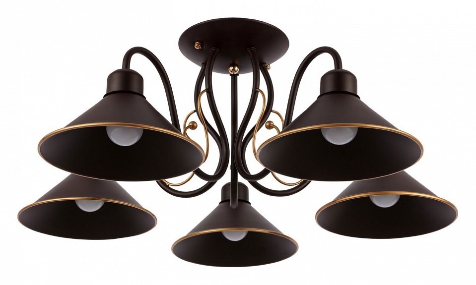 Фото Люстра на штанге EVOLUCE Ciolla SLE120402-05 EVO_SLE120402-05 - интернет-магазин МегаТерем в Москве