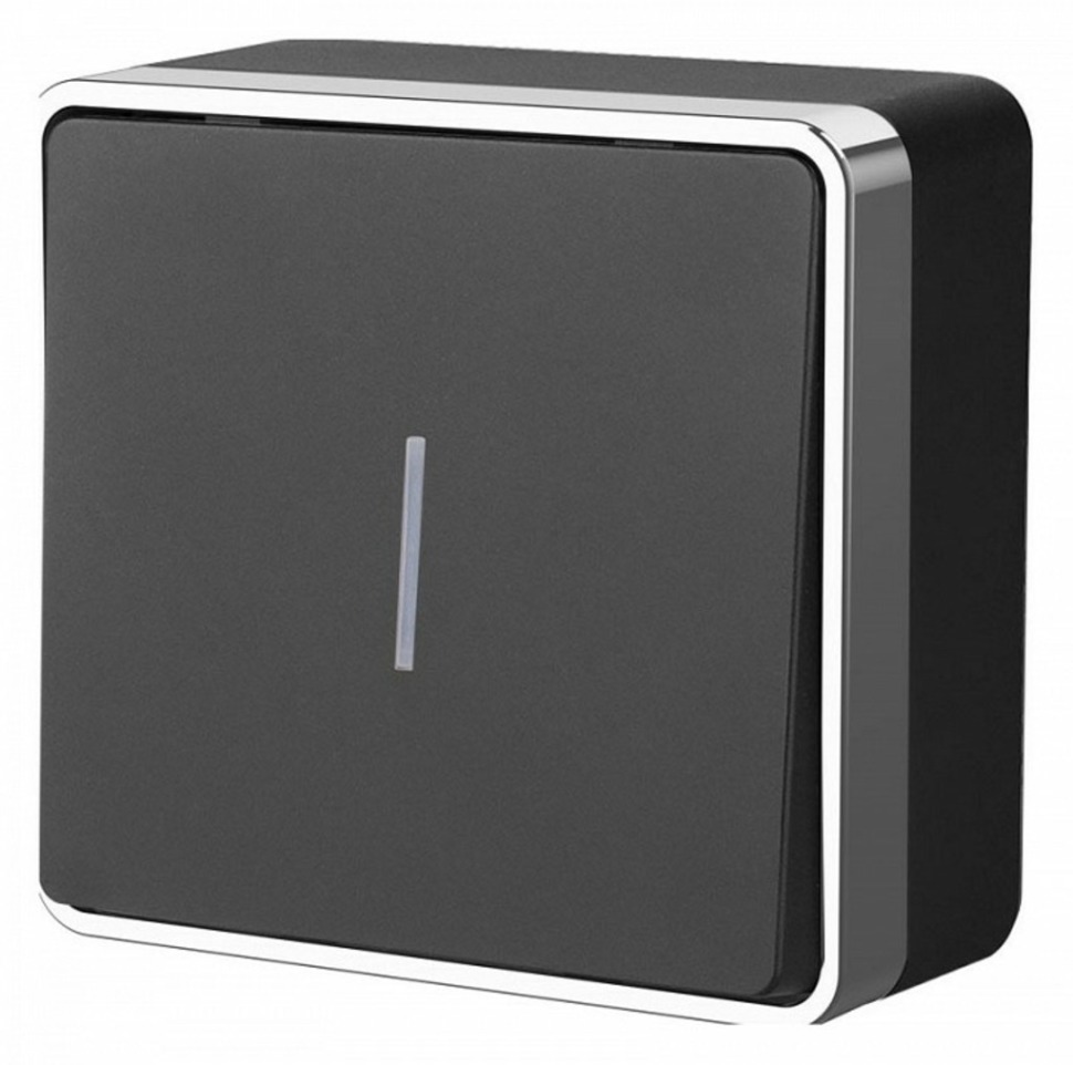 Фото Выключатель одноклавишный с подсветкой Werkel Gallant (черный/хром) W5010135 WRK_a050979 - интернет-магазин МегаТерем в Москве