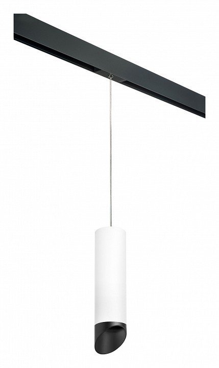 Фото Подвесной светильник Lightstar Rullo PRORP649687 LS_PRORP649687 - интернет-магазин МегаТерем в Москве