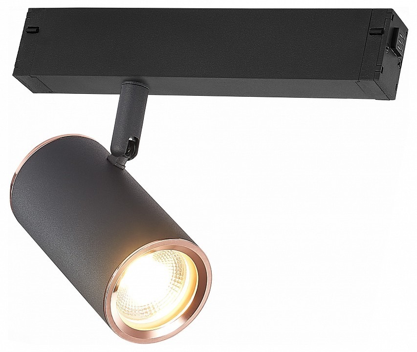 Фото Светильник на штанге ST-Luce SKYLINE 220 ST504.426.01 - интернет-магазин МегаТерем в Москве