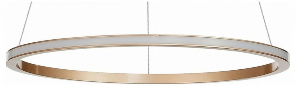 Фото Подвесной светильник ST-Luce ST604 OUT ST604.243.22 - интернет-магазин МегаТерем в Москве