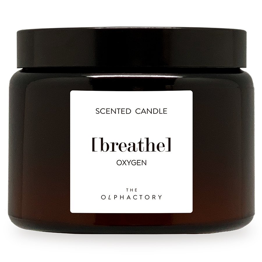 Фото Свеча ароматическая the olphactory, breathe, oxygen, 60 ч (74623) - интернет-магазин МегаТерем в Москве