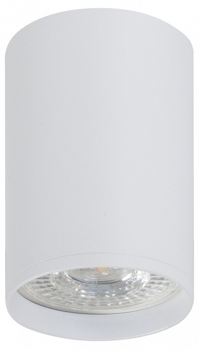 Фото Накладной светильник Denkirs DK2000 DK2050-WH DK_DK2050-WH - интернет-магазин МегаТерем в Москве