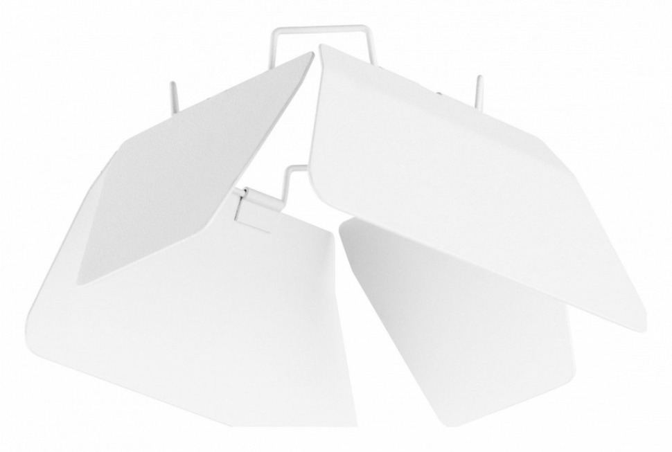 Фото Плафон металлический Lightstar Rullo 202436 LS_202436 - интернет-магазин МегаТерем в Москве