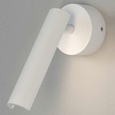 Спот Eurosvet Tint 20126/1 ...