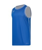 Майка двухсторонняя JOGEL DIVISION PerFormDRY Double-Side Jersey, синий/белый (2130668)