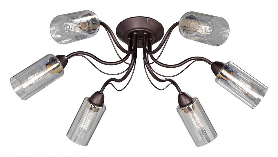 Фото Потолочная люстра Vitaluce V3744 V3744-8/6PL VI_V3744-8_6PL - интернет-магазин МегаТерем в Москве