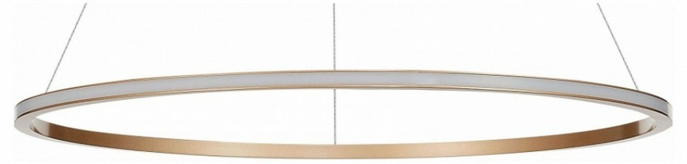 Фото Подвесной светильник ST-Luce ST604 OUT ST604.243.34 - интернет-магазин МегаТерем в Москве