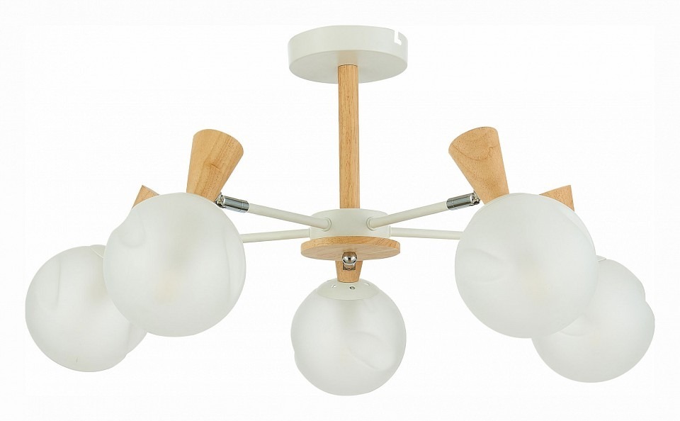 Фото Люстра на штанге EVOLUCE Catania SLE220702-05 EVO_SLE220702-05 - интернет-магазин МегаТерем в Москве