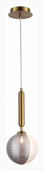 Фото Подвесной светильник EVOLUCE Aveiro SLE1096-203-01 EVO_SLE1096-203-01 - интернет-магазин МегаТерем в Москве