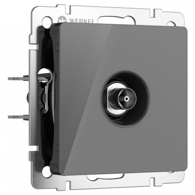 ТВ-розетка без рамки Werkel...