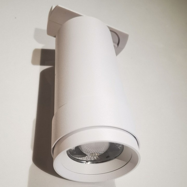 Фото Светильник на штанге Maytoni Focus Zoom TR021-1-12B4K-Z-D-W MY_TR021-1-12B4K-Z-D-W - интернет-магазин МегаТерем в Москве