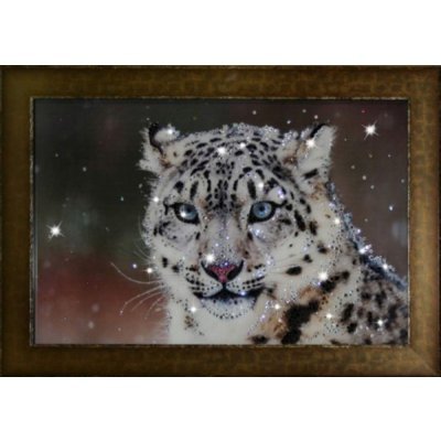 Картина Снежный барс с крис...